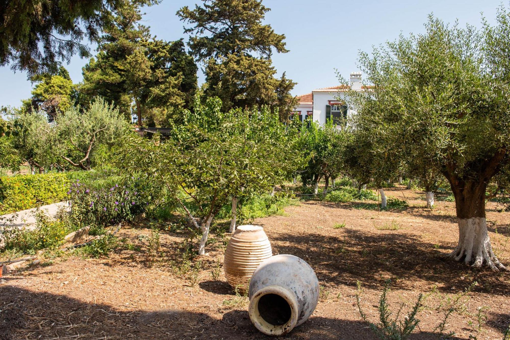 Calvocoressi Estate Chios Town Extérieur photo