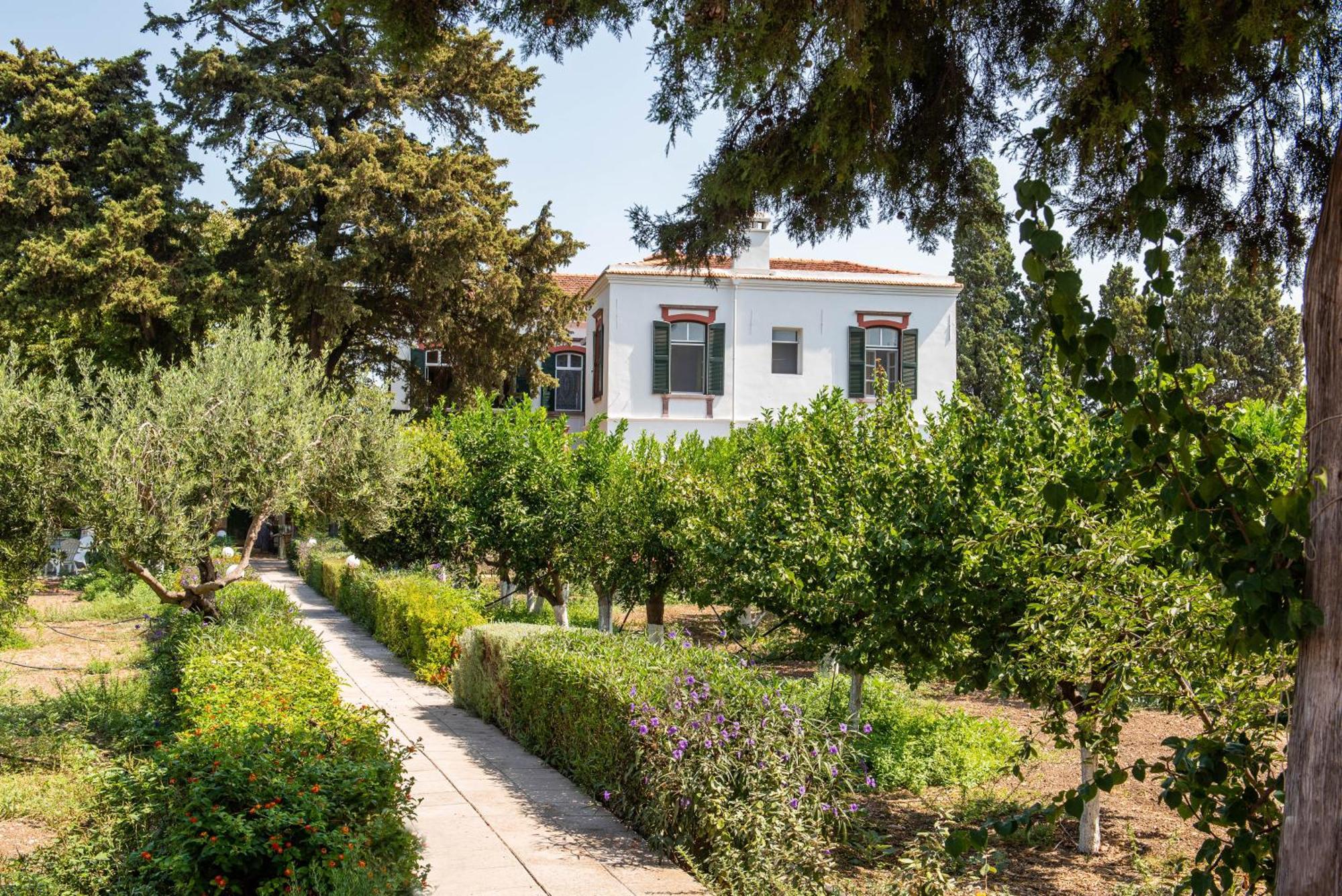 Calvocoressi Estate Chios Town Extérieur photo
