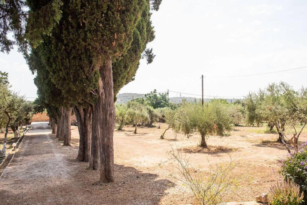 Calvocoressi Estate Chios Town Extérieur photo
